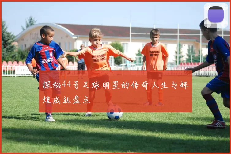 探秘44号足球明星的传奇人生与辉煌成就盘点