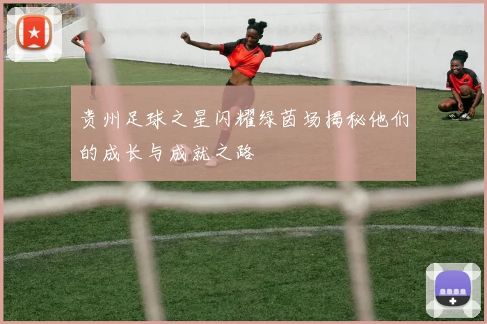 贵州足球之星闪耀绿茵场揭秘他们的成长与成就之路