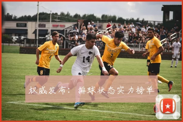 权威发布：排球状态实力榜单