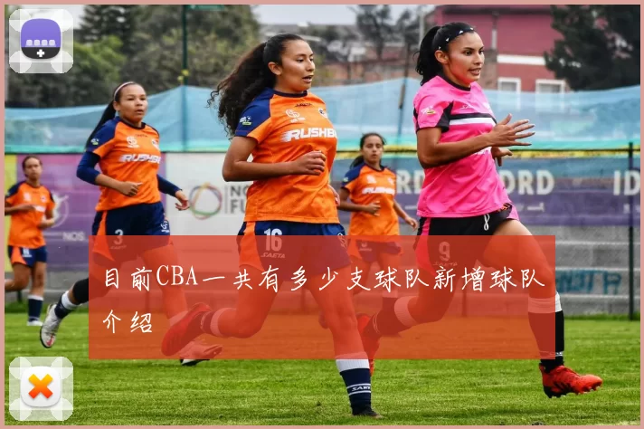 目前CBA一共有多少支球队新增球队介绍