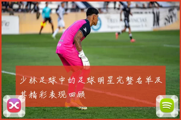 少林足球中的足球明星完整名单及其精彩表现回顾