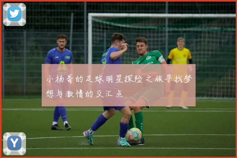 小杨哥的足球明星探险之旅寻找梦想与激情的交汇点