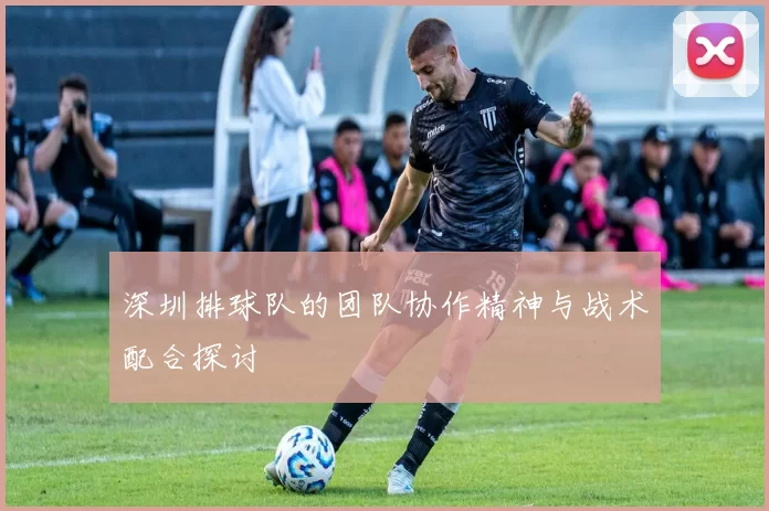 深圳排球队的团队协作精神与战术配合探讨