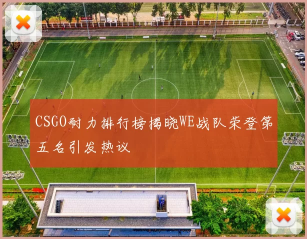 CSGO耐力排行榜揭晓WE战队荣登第五名引发热议
