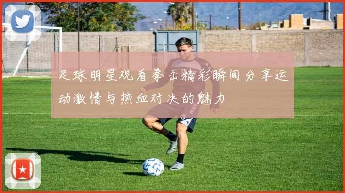 足球明星观看拳击精彩瞬间分享运动激情与热血对决的魅力