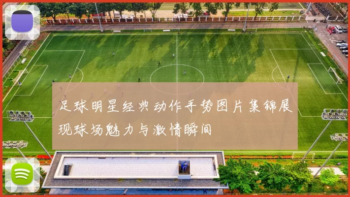 足球明星经典动作手势图片集锦展现球场魅力与激情瞬间