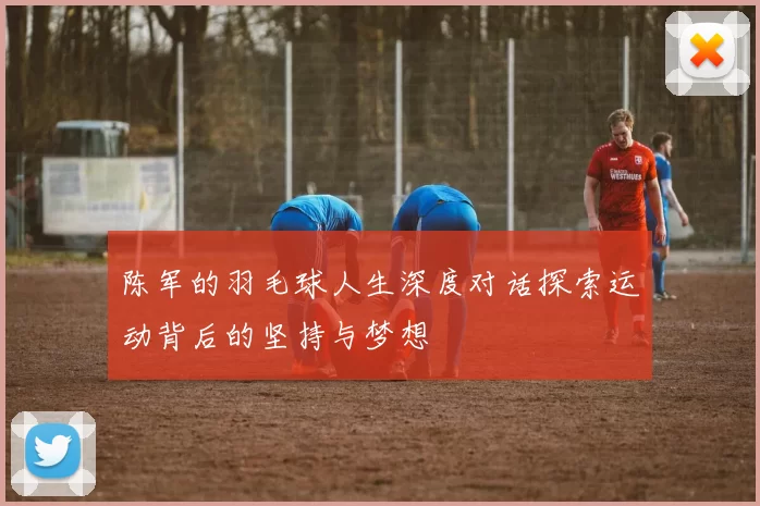 陈军的羽毛球人生深度对话探索运动背后的坚持与梦想