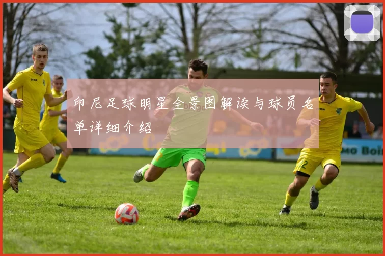印尼足球明星全景图解读与球员名单详细介绍