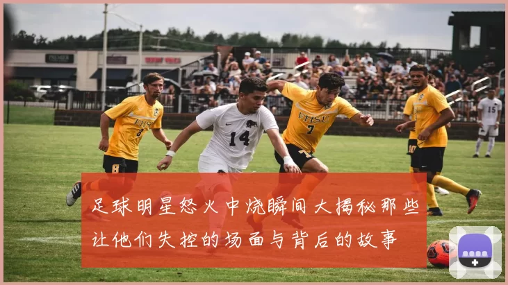 足球明星怒火中烧瞬间大揭秘那些让他们失控的场面与背后的故事