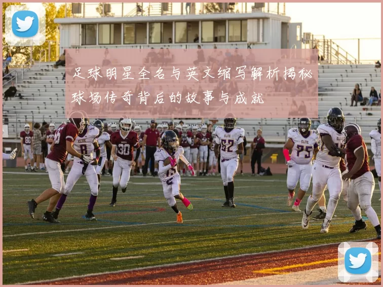 足球明星全名与英文缩写解析揭秘球场传奇背后的故事与成就
