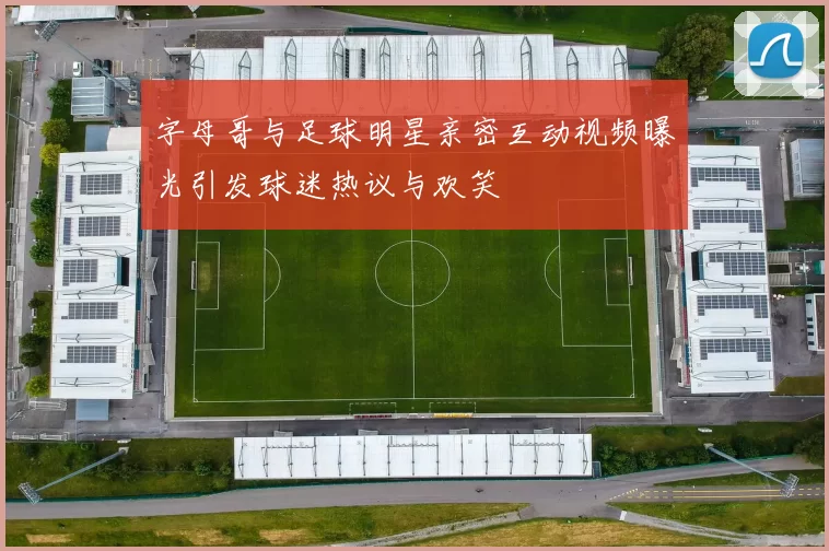 字母哥与足球明星亲密互动视频曝光引发球迷热议与欢笑