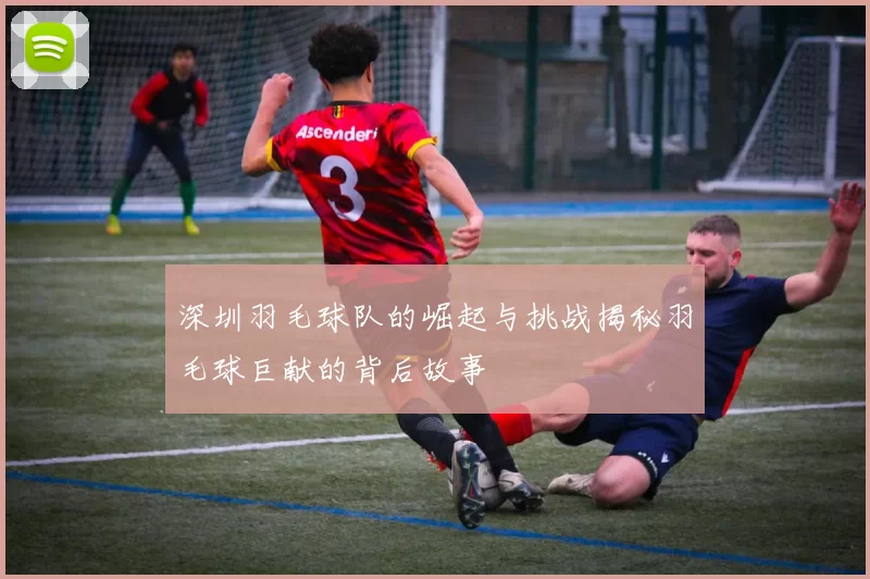 深圳羽毛球队的崛起与挑战揭秘羽毛球巨献的背后故事