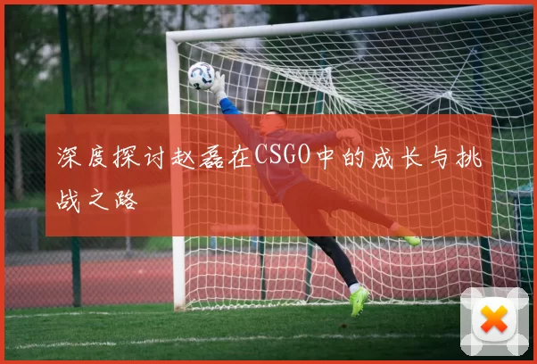 深度探讨赵磊在CSGO中的成长与挑战之路
