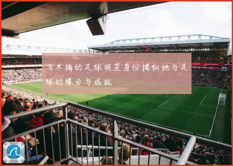 马冬梅的足球明星身份揭秘她与足球的缘分与成就