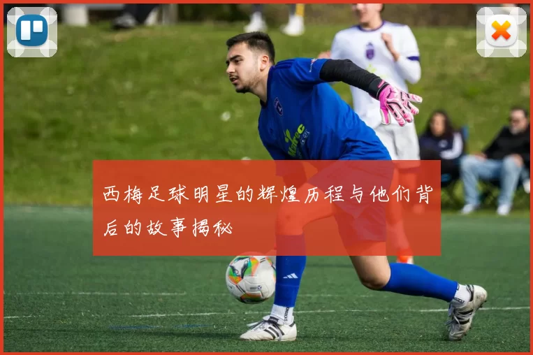 西梅足球明星的辉煌历程与他们背后的故事揭秘